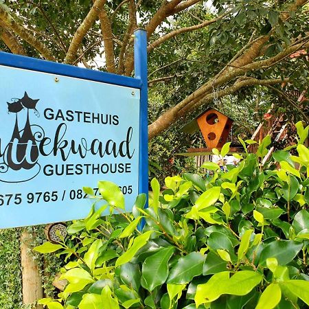 Kattekwaad Accommodation Kaapsehoop Extérieur photo