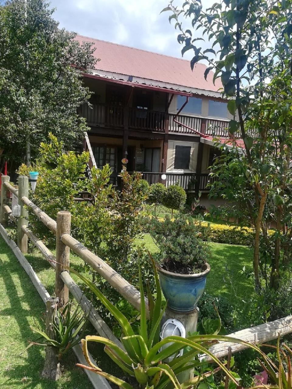 Kattekwaad Accommodation Kaapsehoop Extérieur photo